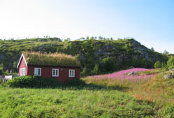 Hus i Lofoten