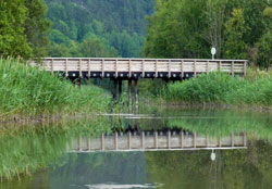 P1000825 Bildet tatt av PK Ubøe