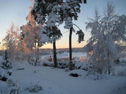 Utsikt mot Tunevannet