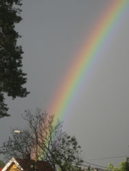 regnbuen