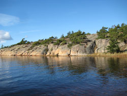 vegetasjon ved havet