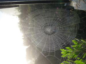 IMG_0149_1