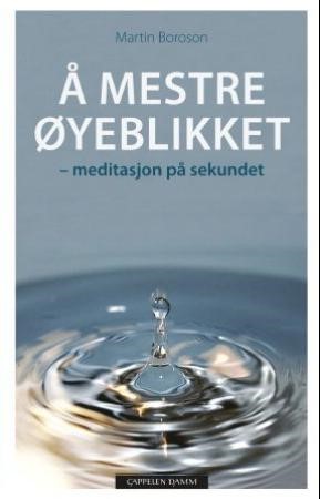 Å mestre øyeblikket - meditasjon på sekundet