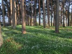 IMG_9261